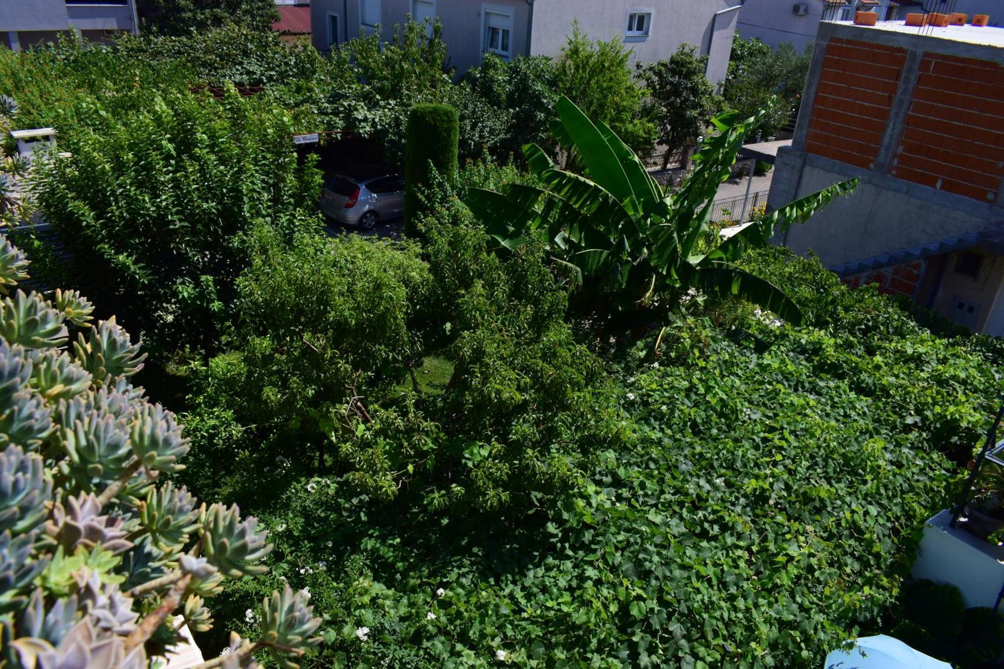 Rooms Vila Mautner Водице Экстерьер фото